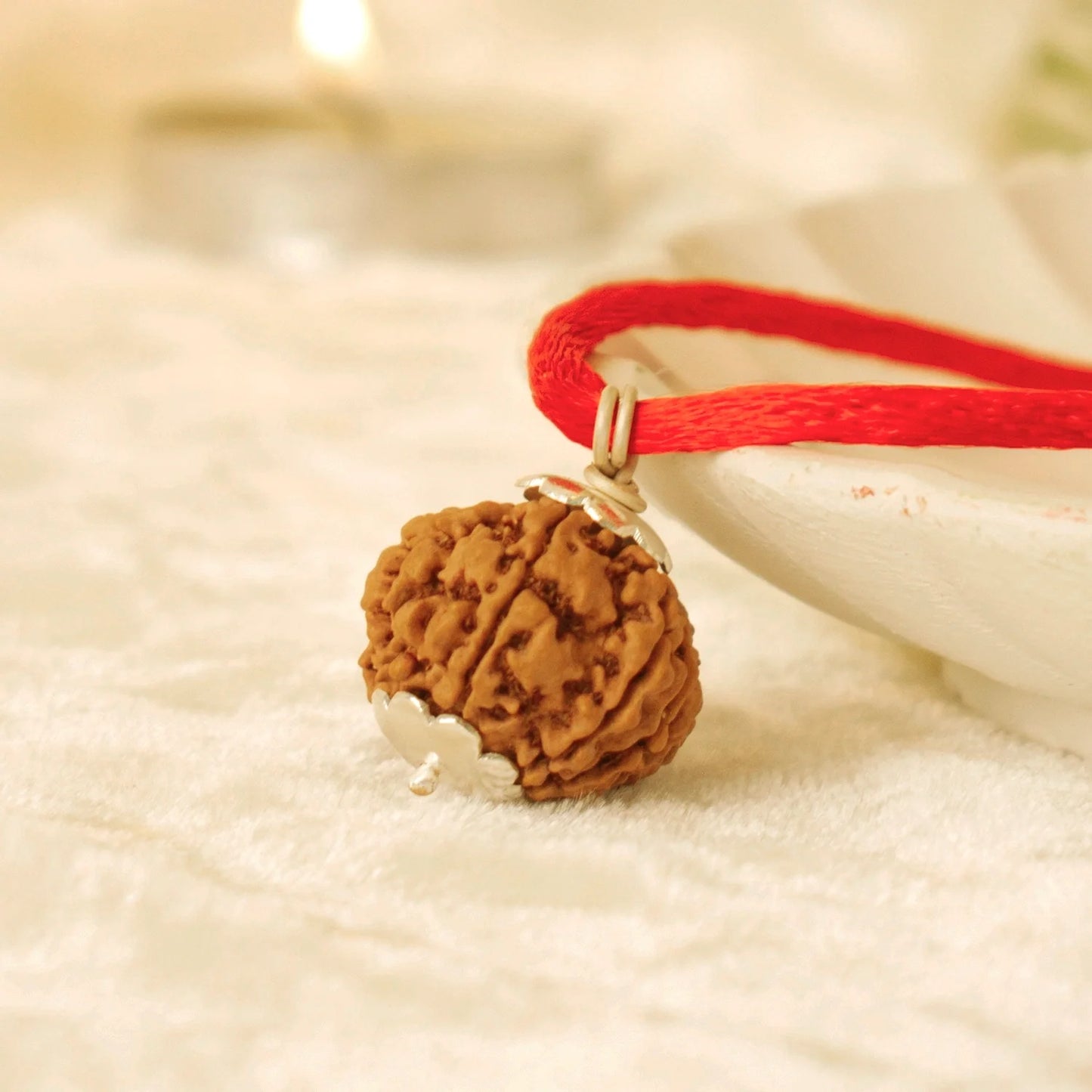 Nepal Origin 7 Mukhi Rudraksha -  18mm - 22mm